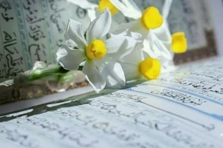 نماز و دعای استغاثه به امام زمان (عج)_دعای سلام الله التام الکامل [ همراه با صوت دعا]