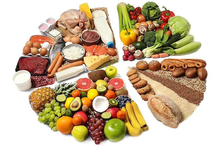انواع رژیم غذایی (types of diets)
