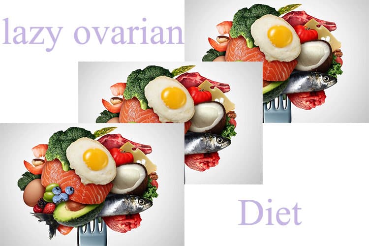 بهترین رژیم غذایی و مواد غذایی برای تنبلی تخمدان + تنظیم سبک زندگی